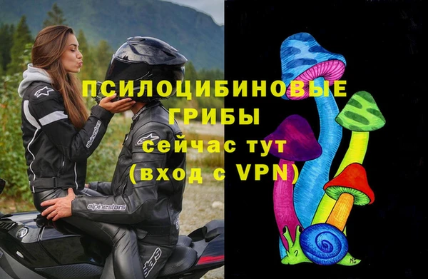дживик Алексин