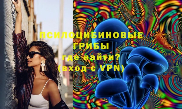 спиды Алексеевка