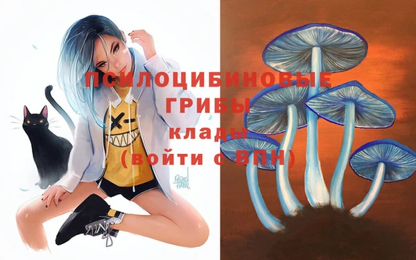 спиды Алексеевка