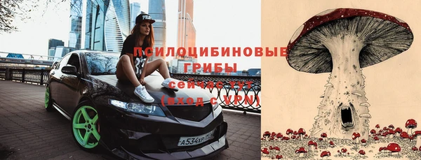 спиды Алексеевка
