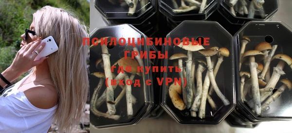 дживик Алексин